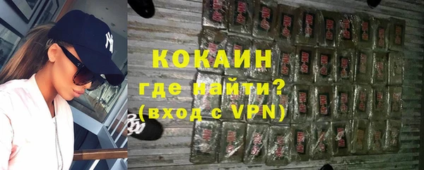 индика Алзамай