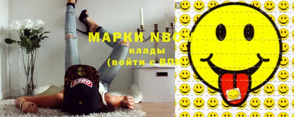 индика Алзамай